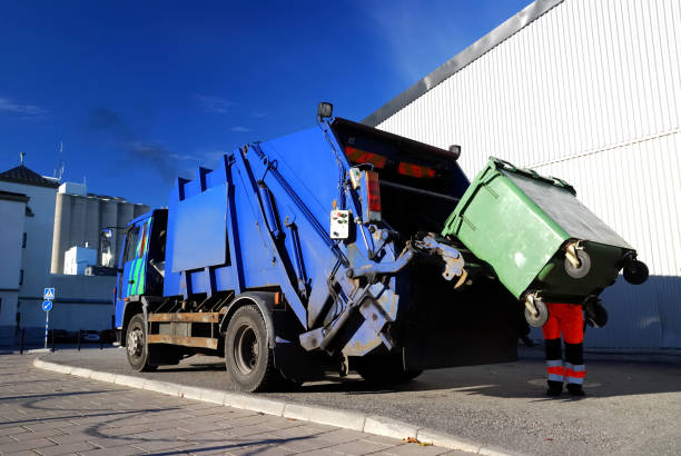 Best Shed Removal  in Henderson, NV